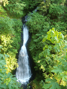 Sheppards Dell Falls